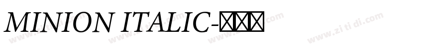 MINION ITALIC字体转换 MINION ITALIC字体转换